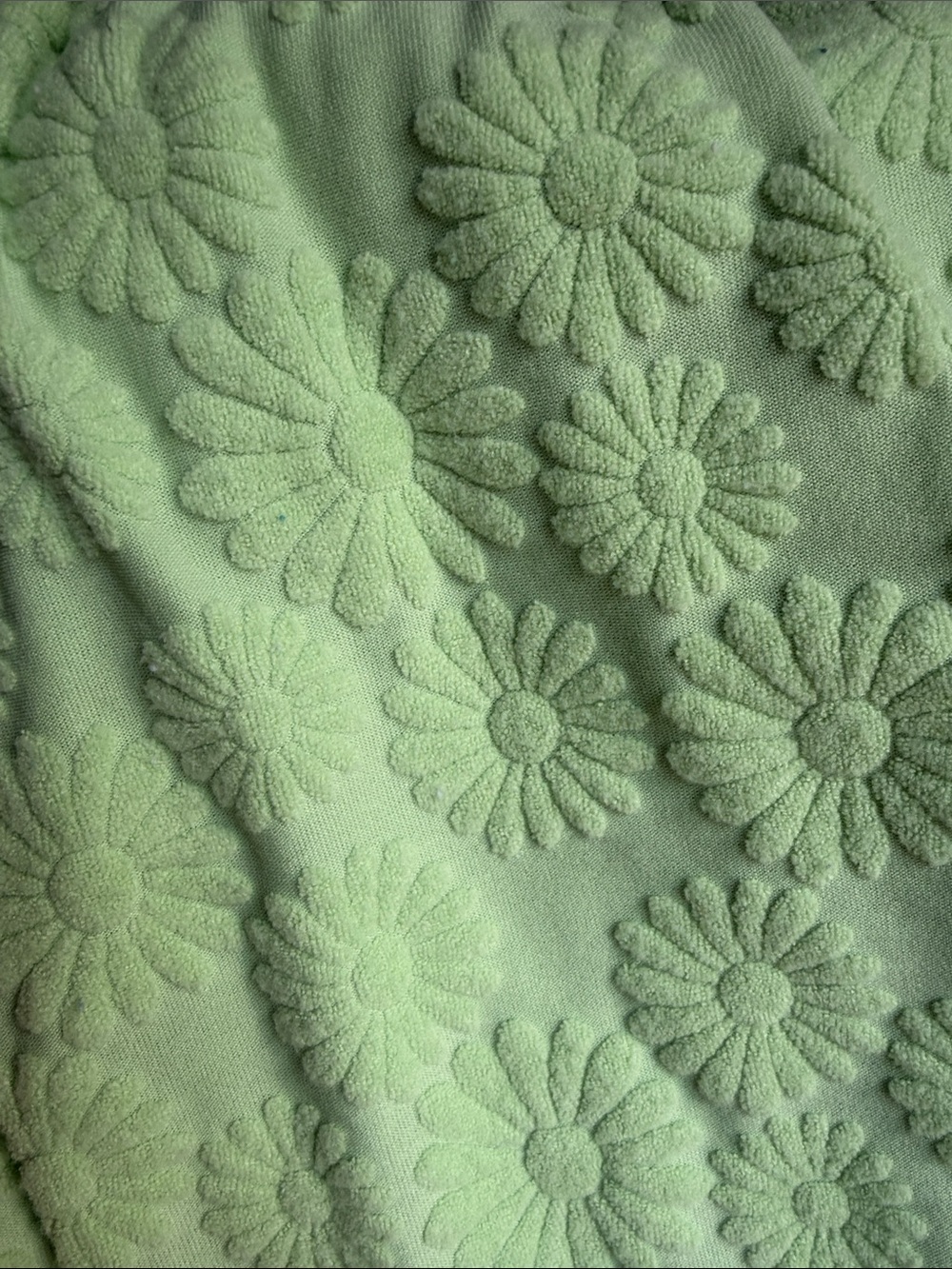 Textured Daisy Embossed Ruffle Sleeve and Ruffle Hem Set- Light Green - Picture 5 of 6